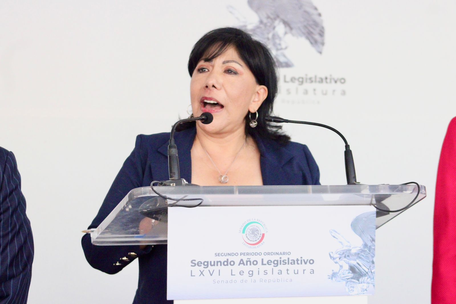 Denuncia Anabell Ávalos en el Senado permisividad del ITE ante propaganda ilegal en Tlaxcala